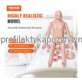Manekin Pielęgnacyjny Naturalnej Wielkości (Model LD-140) – Symulator 2w1 (Męski/Żeński).png
