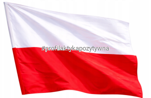 FLAGA POLSKI 140/90 cm