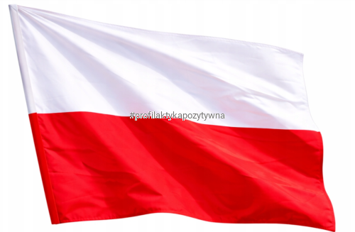 FLAGA POLSKI 140/90 cm.png