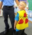 pozar_010_04.jpg