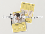 Broszura „Bullying – prześladowanie i dręczenie rówieśnicze”
