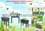 Zestaw profilaktyczno - edukacyjny  „Rośniemy zdrowo” –  Planter + nasiona 